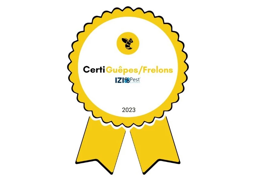 Formation Guêpes et Frelons